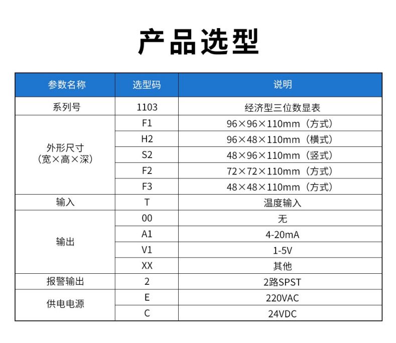 2、1103經(jīng)濟(jì)型三位顯示儀.jpg
